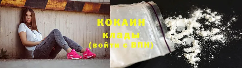 наркотики  Вышний Волочёк  Кокаин Эквадор 